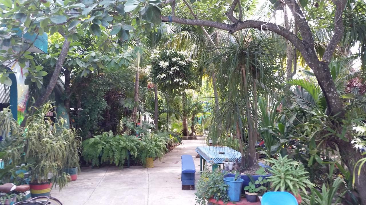 Rancho Tranquilo Hostel Tulum Luaran gambar